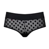 Kép 3/5 - OB2318 Obsessive Dotina sort L/XL EAN: 5901688212318